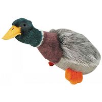 Multipet Mallard Duck